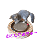 ウォルくんのゴキゲンないちにち（個別スタンプ：10）