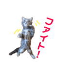 ウォルくんのゴキゲンないちにち（個別スタンプ：12）