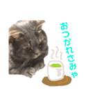 ウォルくんのゴキゲンないちにち（個別スタンプ：13）