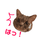ウォルくんのゴキゲンないちにち（個別スタンプ：16）
