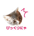 ウォルくんのゴキゲンないちにち（個別スタンプ：17）