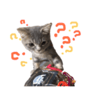 ウォルくんのゴキゲンないちにち（個別スタンプ：18）