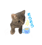 ウォルくんのゴキゲンないちにち（個別スタンプ：22）
