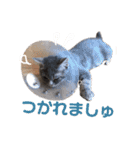ウォルくんのゴキゲンないちにち（個別スタンプ：24）