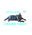 ウォルくんのゴキゲンないちにち（個別スタンプ：25）
