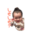 まいにちぶうちゃん（個別スタンプ：3）