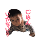 まいにちぶうちゃん（個別スタンプ：6）