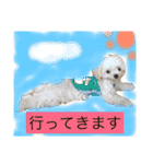 まろわたのスタンプ（個別スタンプ：7）