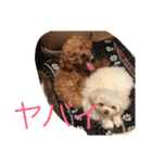 まろわたのスタンプ（個別スタンプ：27）