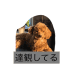 まろわたのスタンプ（個別スタンプ：34）