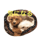 まろわたのスタンプ（個別スタンプ：39）