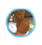 ヴぃーたん（個別スタンプ：1）