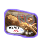 ヴぃーたん（個別スタンプ：2）