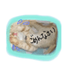 ヴぃーたん（個別スタンプ：7）