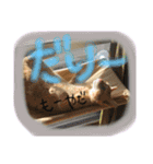 ヴぃーたん（個別スタンプ：10）