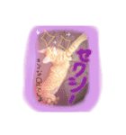 ヴぃーたん（個別スタンプ：11）