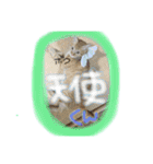 ヴぃーたん（個別スタンプ：12）