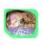 ヴぃーたん（個別スタンプ：14）