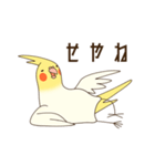 オカメインコのおかめさん（個別スタンプ：3）