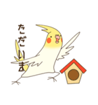 オカメインコのおかめさん（個別スタンプ：6）