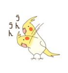 オカメインコのおかめさん（個別スタンプ：8）