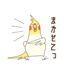オカメインコのおかめさん（個別スタンプ：10）