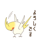オカメインコのおかめさん（個別スタンプ：11）