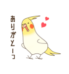 オカメインコのおかめさん（個別スタンプ：12）