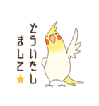 オカメインコのおかめさん（個別スタンプ：13）