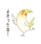 オカメインコのおかめさん（個別スタンプ：15）