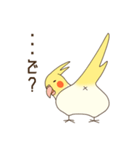 オカメインコのおかめさん（個別スタンプ：16）