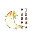 オカメインコのおかめさん（個別スタンプ：18）