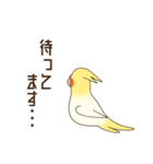 オカメインコのおかめさん（個別スタンプ：19）