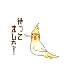 オカメインコのおかめさん（個別スタンプ：20）