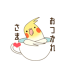 オカメインコのおかめさん（個別スタンプ：23）