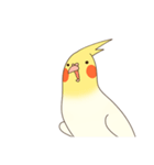 オカメインコのおかめさん（個別スタンプ：25）