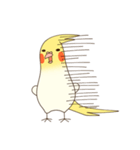オカメインコのおかめさん（個別スタンプ：32）