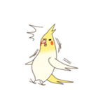 オカメインコのおかめさん（個別スタンプ：33）