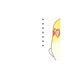 オカメインコのおかめさん（個別スタンプ：34）