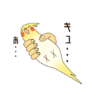 オカメインコのおかめさん（個別スタンプ：35）