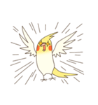 オカメインコのおかめさん（個別スタンプ：36）