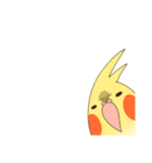 オカメインコのおかめさん（個別スタンプ：37）