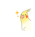 オカメインコのおかめさん（個別スタンプ：39）