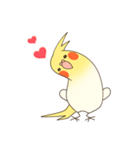 オカメインコのおかめさん（個別スタンプ：40）