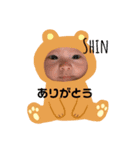 SHINしんちゃんスタンプ（個別スタンプ：4）