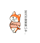 Tシャツを着ているまゆげいぬのスタンプ（個別スタンプ：3）