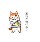 Tシャツを着ているまゆげいぬのスタンプ（個別スタンプ：6）