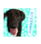 わんちゃんのつぶやき（個別スタンプ：14）
