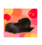 わんちゃんのつぶやき（個別スタンプ：17）