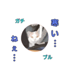 CoCoはいつもココに...（個別スタンプ：9）